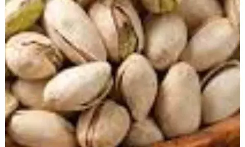 Pistachios Benefits