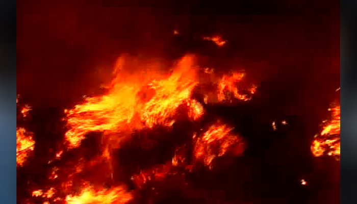 चमड़ा के गोदाम में लगी भीषण आग, चंद मिनटों में जलकर राख हुआ लाखों का सामान