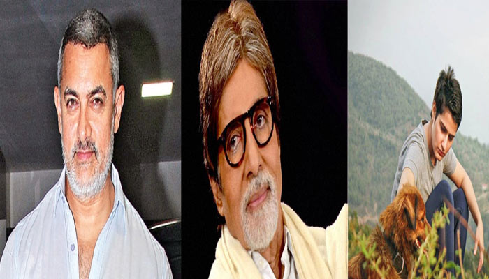 इस फिल्म में बिग बी, आमिर के साथ नजर आ सकती है यह पहलवान