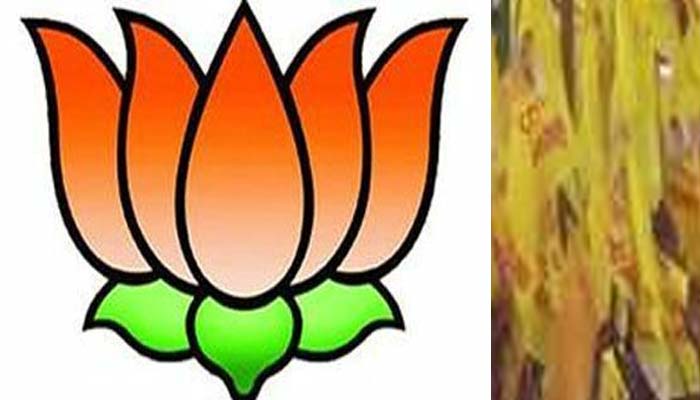 पारस छू कंचन भया, BJP के साथ आए छोटे दलों ने भी बिखेरी चमक