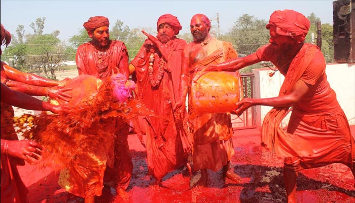 कान्हा की नगरी बरसाना में टेसू रंगों से साधू-संतों ने खेली होली, विदेशी भक्त भी हुए सराबोर