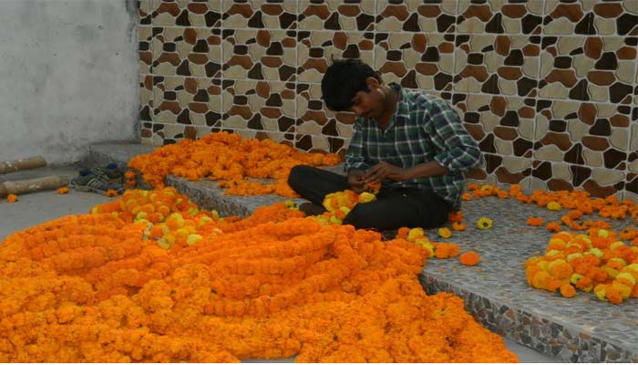 जश्न में डूबा पूर्वांचल, गोरखनाथ मंदिर में योगी के स्वागत की जोरदार तैयारियां  