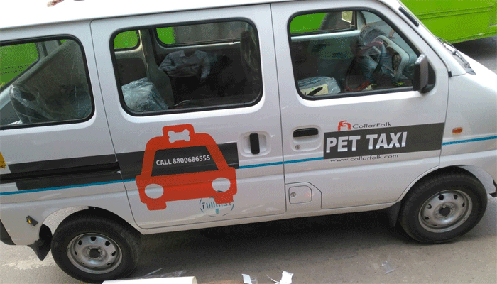 पशु प्रेमियों के लिए अच्छी खबर, अब आपके Pet भी कर सकेंगे Taxi का सुहाना सफर