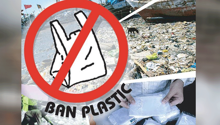 गोवा में प्लास्टिक बैग्स खरीदने या बेचने पर बैन, लगेगा 5000 रुपए का जुर्माना