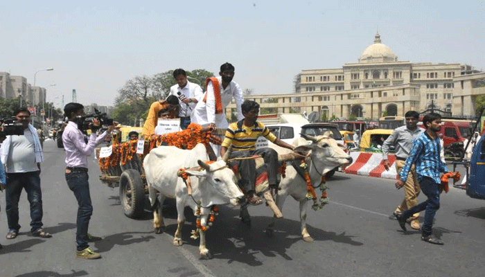 बैलगाड़ी से विधान भवन पहुंचे BJP विधायक, लेकिन किया कुछ ऐसा कि मालिक ने पकड़ा माथा