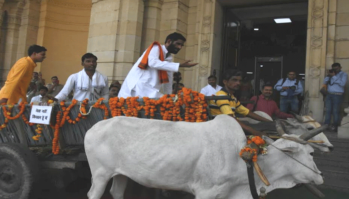 बैलगाड़ी से विधान भवन पहुंचे BJP विधायक, लेकिन किया कुछ ऐसा कि मालिक ने पकड़ा माथा