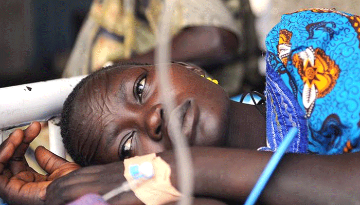 UN की रिपोर्ट: दुनिया में जहां-जहां जंगल घटे, वहां-वहां मलेरिया के मामले बढ़े