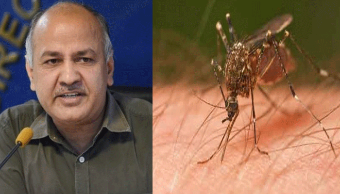 मनीष सिसोदिया बोले- दिल्ली को मच्छर मुक्त बनाने के लिए उपाय शुरू कर दिए