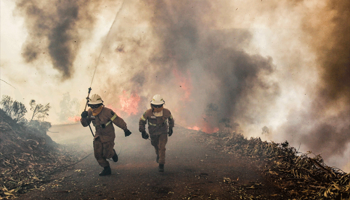 पुर्तगाल: पेडरोगाओ के जंगल में लगी भीषण आग, 62 लोगों की मौत