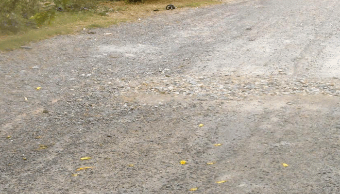 गंगानगर में सड़कों का हाल अभी भी पूर्ववत ही है। इसका एक नजारा आपको राधा गार्डन के बाहर वाले रस्ते को देखकर ही लग जाएगा। यहां की सड़कें अब भी टूटी पड़ी हैं। राधा गार्डन कॉलोनी रोड पूरी तरह से टूटा हुआ है।
