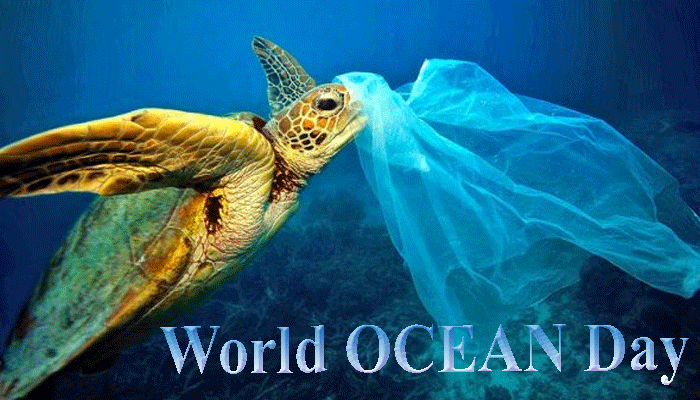 WORLD OCEAN DAY: बचानी है बेजुबानों की जान, तो समुद्रों में न फेंकें प्लास्टिक सामान