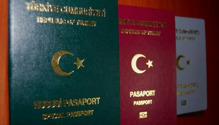 तुर्की-यूक्रेन के बीच हुआ बड़ा समझौता, दोनों देशों के नागरिक कर सकेंगे पासपोर्ट रहित यात्रा