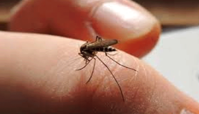 UP में डेंगू के 5 नए मामले, स्वास्थ्य विभाग ने जारी किए साफ़-सफाई के निर्देश