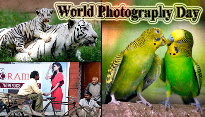 WORLD PHOTOGRAPHY DAY SPECIAL: तस्वीरें जो दिल को छू जाएं...