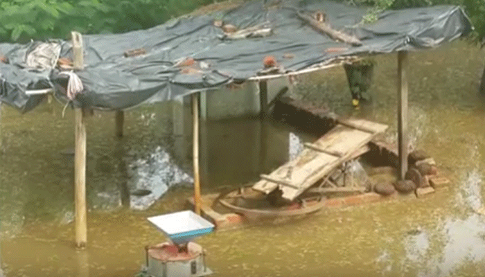 बारिश से हाल बेहाल: तालाब में तब्दील हुआ गांव, डूबे घर