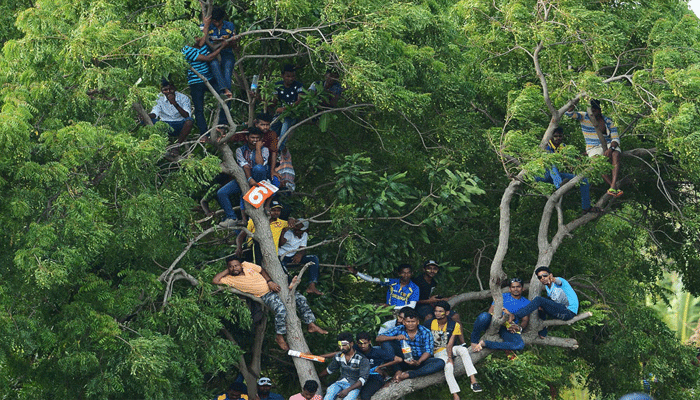 श्रीलंका टीम की बस रोककर प्रशंसकों ने जताई नाराजगी, इंडिया से हुई थी हार