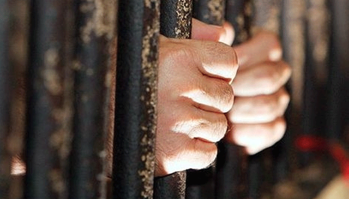 सऊदी अरब में IS आतंकवादी को 20 साल की सजा, यात्रा पर भी लगा प्रतिबंध