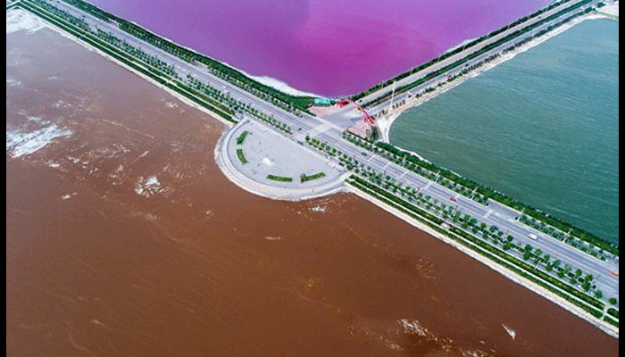 OMG: चीन की इस झील ने अचानक बदला रंग, एक किनारा गुलाबी तो दूसरा हुआ हरा