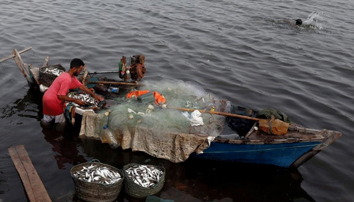 बीएसएफ ने गुजरात में पकड़े 3 पाकिस्तानी मछुआरे, जब्त की 14 नौकाएं