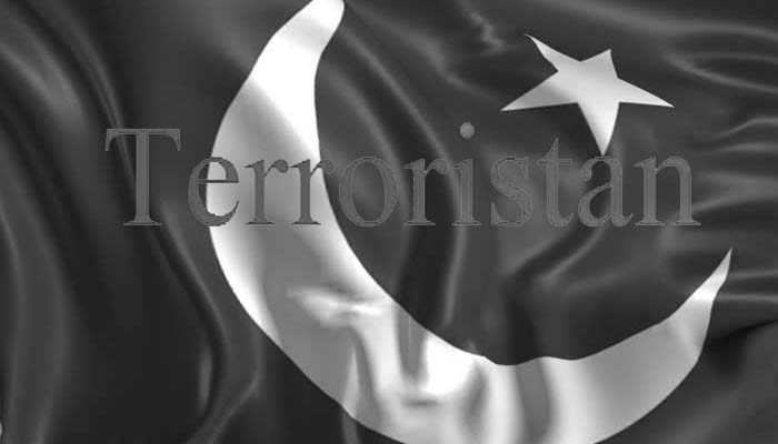 United Nations में भारत ने पाकिस्तान को दिया नाम Terroristan