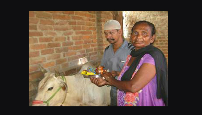 देखो कथित गोसेवकों: गाय को दुर्गा मान पूजता है यूपी का ये सलमान