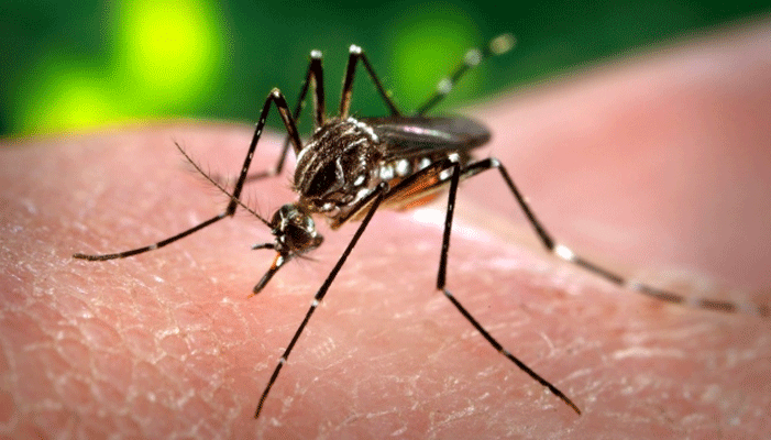बन गया मलेरिया का RTS टीका, घाना,कीनिया, मलावी अफ़्रीकी देशों में पहली बार