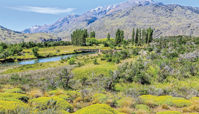 चिली ने बनाया नया कीर्तिमान, एक करोड़ एकड़ में बनाए 5 नेशनल पार्क