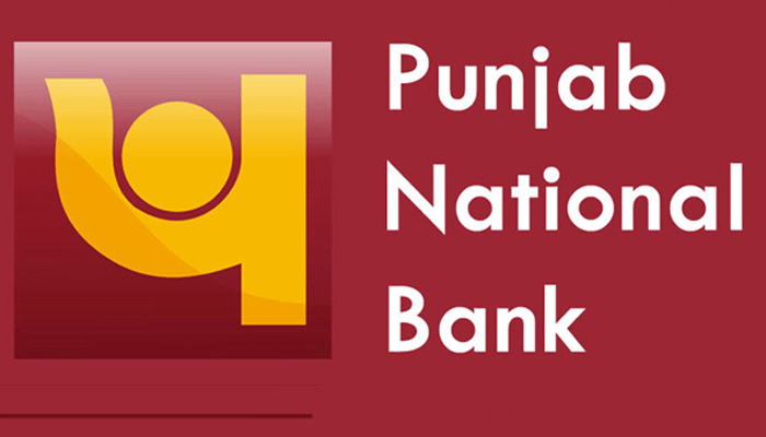पीएनबी घोटाले में CVC ने बैंक और वित्त मंत्रालय को किया तलब