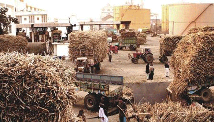 मोदी सरकार ने गन्ना किसानों और कुंभ नगरी को दी सौगात, योगी खुश