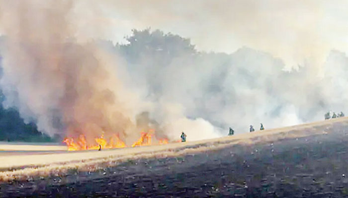 चिड़िया की वजह से 17 एकड़ खेत में लगी आग 