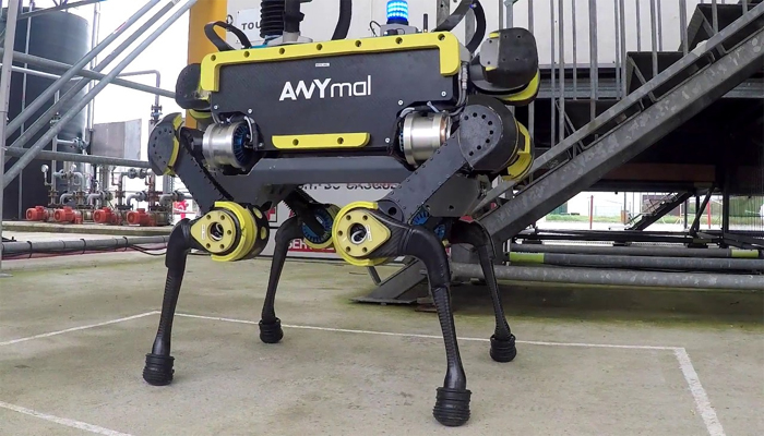 क्या आपने अब तक नहीं की ‘ANYmal’ नाम के इस रोबोटिक डॉग से मुलाकात?