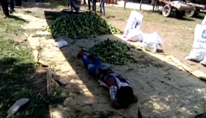 VIDEO: शाहाबाद की किसान मंडी में आढ़तियों की गुण्डई, किसानों को पीट-पीटकर किया लहूलुहान