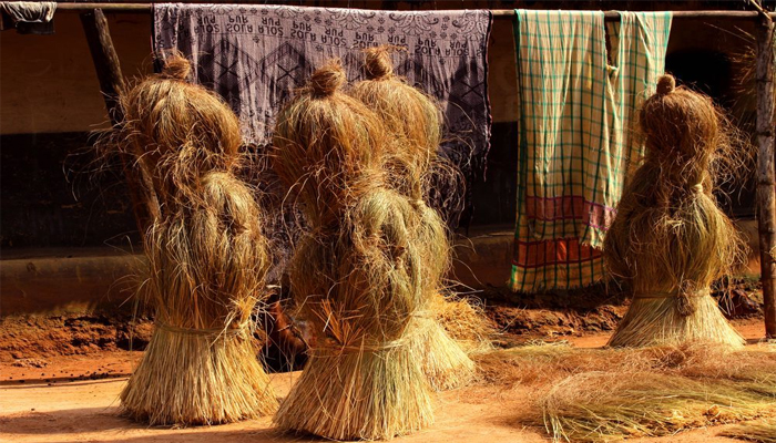 इन गांवों की आर्थिक स्थिति सुधारने में बबुई घास ने की बड़ी मदद, जानें पूरा मामला