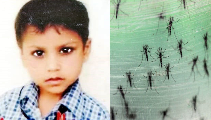 अब सहारनपुर में शुरू हुआ डेंगू का प्रकोप, पांच वर्षीय बच्ची की मौत, हड़कंप