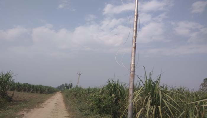 33 हजार केवी लाइन के 33 खंभों के तार चोरी, बिजली विभाग में हड़कंप