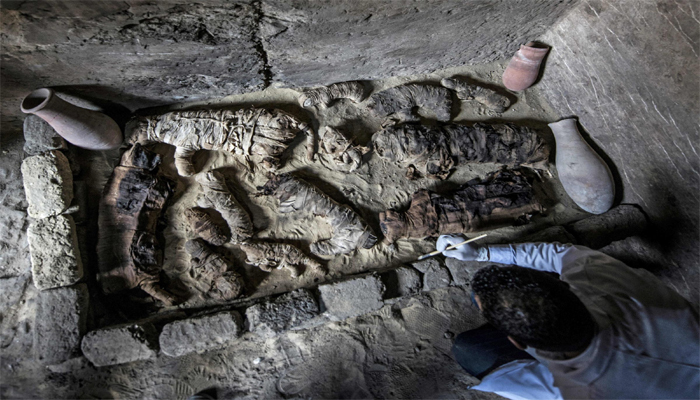 OMG! पुरातत्वविदों को इजिप्ट में मिलीं दर्जनभर cat mummies