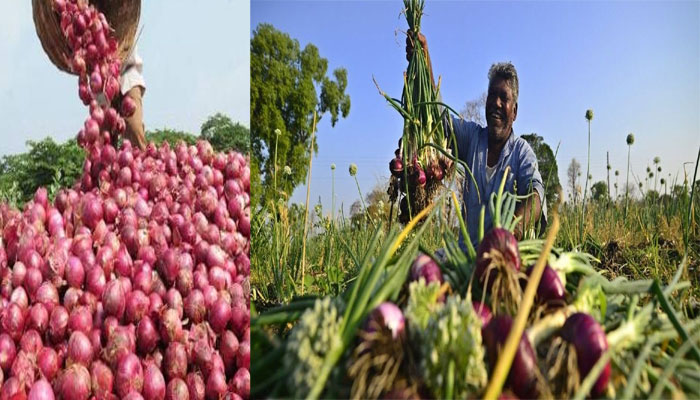 महाराष्ट्र में मंडी परिषद का एकाधिकार खत्म,व्यापारी सीधे किसानों से कर पाएंगे डील