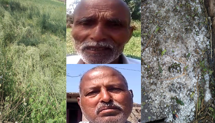 शाहजहांपुर: ओलावृष्टि से बर्बाद हुई किसानों की फसल, कर रहे मुआवजे की मांग