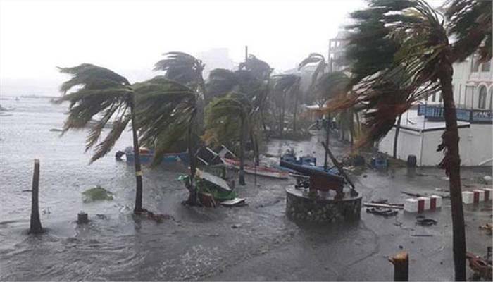 ‘फणी’ तूफान ने आंध्र प्रदेश में 10 हजार नारियल के पेड़ गिराए, 58.61 करोड़ का नुकसान