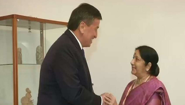 सुषमा स्वराज ने संबंध मजबूत करने को लेकर किर्गिस्तान के राष्ट्रपति के साथ की बातचीत