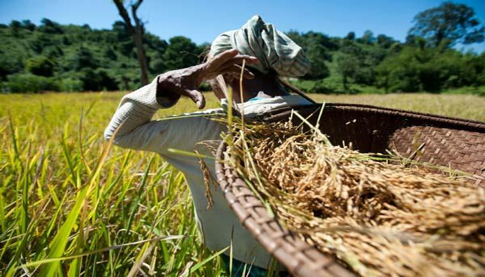 हरियाणा सरकार का बड़ा तोहफा, अब किसानो को मिलेंगे सालाना 12000 रूपये