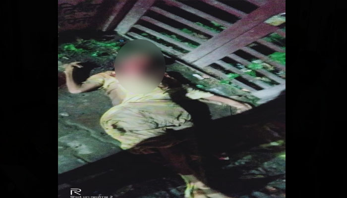 खौफनाक तस्वीर: गेट पर खड़ी महिला को नोच-नोच कर खा गए कुत्ते