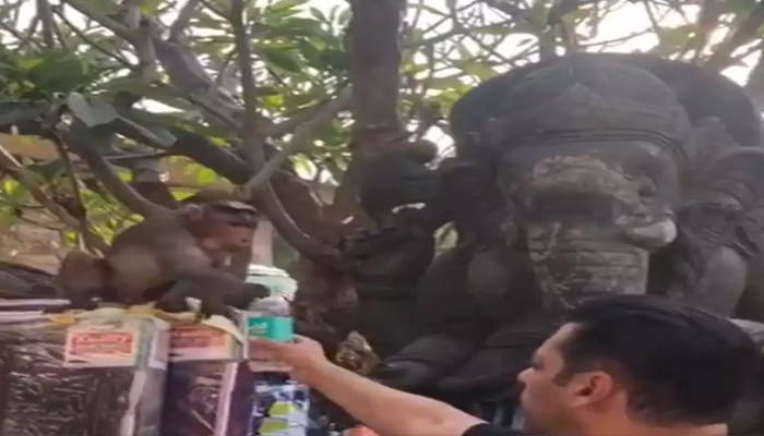 बंदर को पानी पिलाने की सलमान खान की कोशिश नाकाम,उसने की ऐसी हरकत,VIDEO
