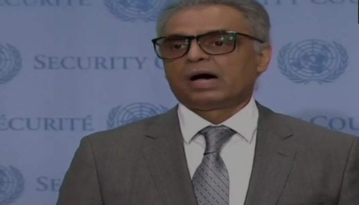 कश्मीर पर UNSC में भारत की दो टूक, जेहाद के नाम पर आतंक फैला रहा है पाकिस्तान