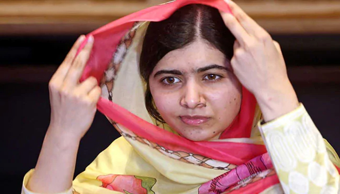 आर्टिकल 370 पर देश का साथ नहीं दे रही पाकिस्तान की ये बेटी, पढ़ें ये रिपोर्ट