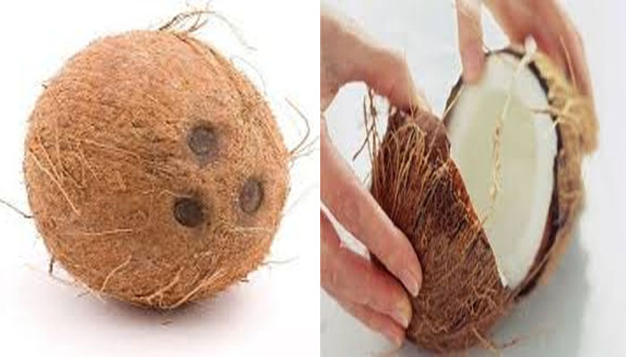 नारियल में है त्रिदेव का वास, इसे फोड़ने  से होता है अहंकार का नाश, जानिए और है महत्व