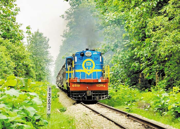 जंगलों में ट्रेनों की नई घुसपैठ, 13 रेलवे प्रोजेक्ट्स को मंजूरी