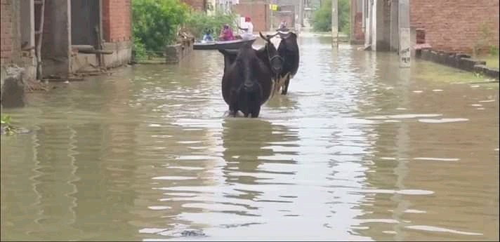 वाराणसी: सैलाब का सितम, खतरे के निशान से ऊपर बह रही गंगा, देखें तस्वीरें