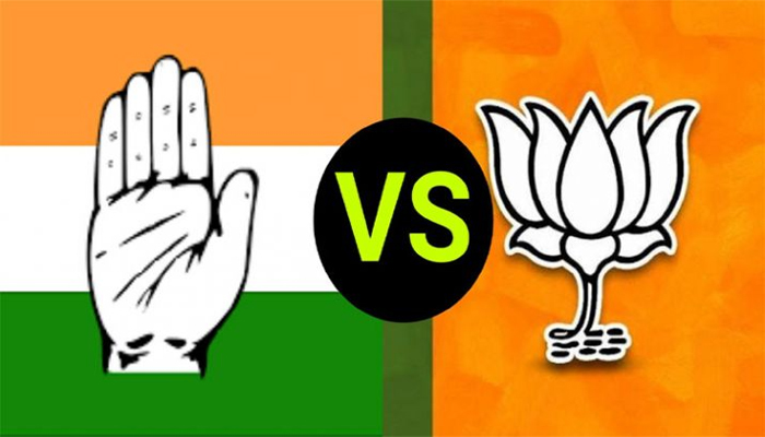 Haryana Elections 2019: कांग्रेस के गढ़ में BJP की नैया पार लगाएंगी TikTok स्टार!