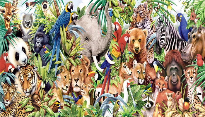 Today Special: विश्व पशु दिवस, आप भी जतायें जन्तुओं के प्रति प्यार